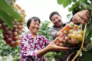 青島地道風(fēng)物 家門(mén)口就能買(mǎi)到的初級(jí)農(nóng)產(chǎn)品優(yōu)選指南