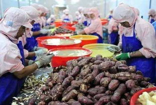 2017年，錯(cuò)過(guò)這些初級(jí)農(nóng)產(chǎn)品好項(xiàng)目，農(nóng)民朋友們或?qū)⒑蠡? />
</span>
<span id=